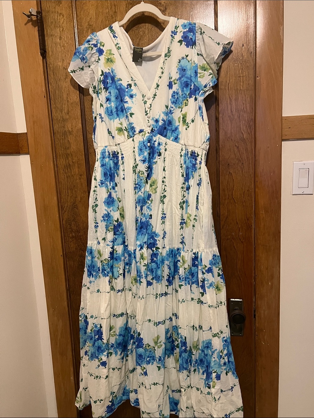 Taylor Blue Floral V-Neck Maxi Dress on White